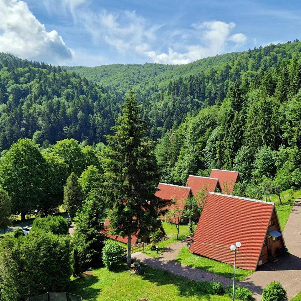 Perelka Bieszczady Domki Cisna Kültér fotó